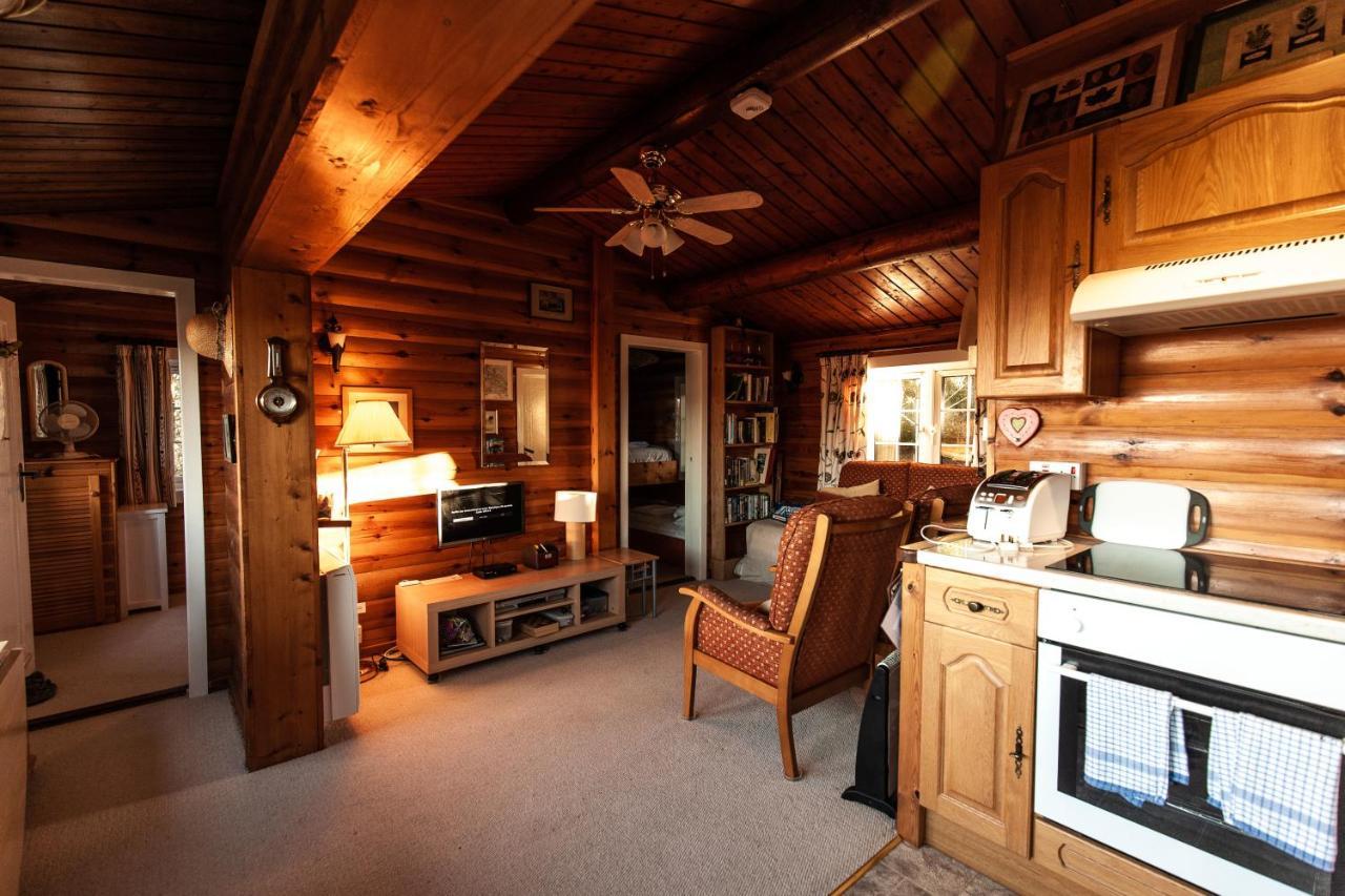 Rustic Log Cabin In Snowdonia By Seren Short Stays Trawsfynydd Exterior foto