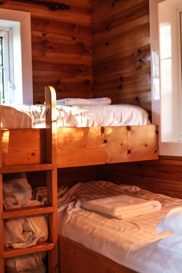 Rustic Log Cabin In Snowdonia By Seren Short Stays Trawsfynydd Exterior foto