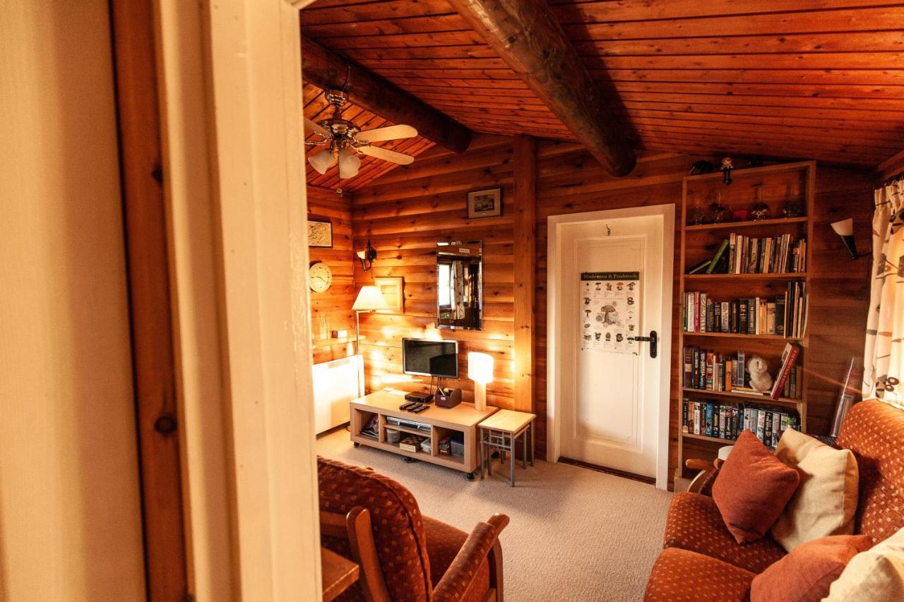 Rustic Log Cabin In Snowdonia By Seren Short Stays Trawsfynydd Exterior foto